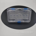 Dental Crown Denture Displaying Dental Veneer Box